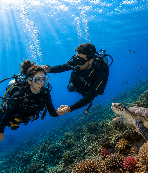 Schnuppertauchen in Hurghada