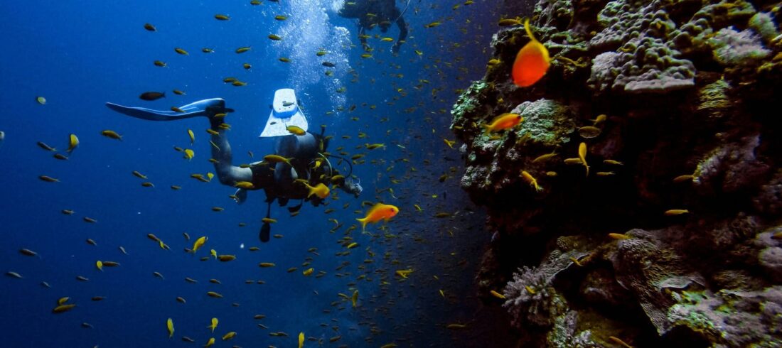 Tauchplätze Hurghada – Top Tauchspots im Roten Meer