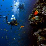 Tauchplätze Hurghada – Top Tauchspots im Roten Meer