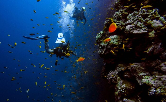 Tauchplätze Hurghada – Top Tauchspots im Roten Meer