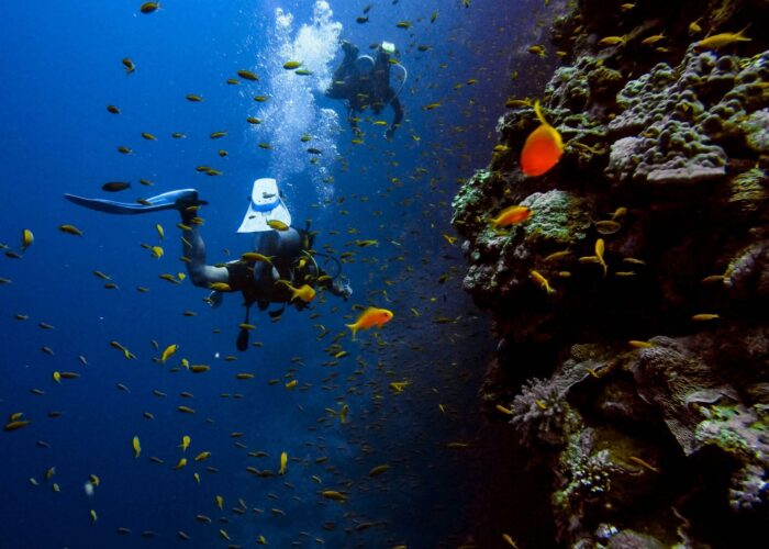 Tauchplätze Hurghada – Top Tauchspots im Roten Meer