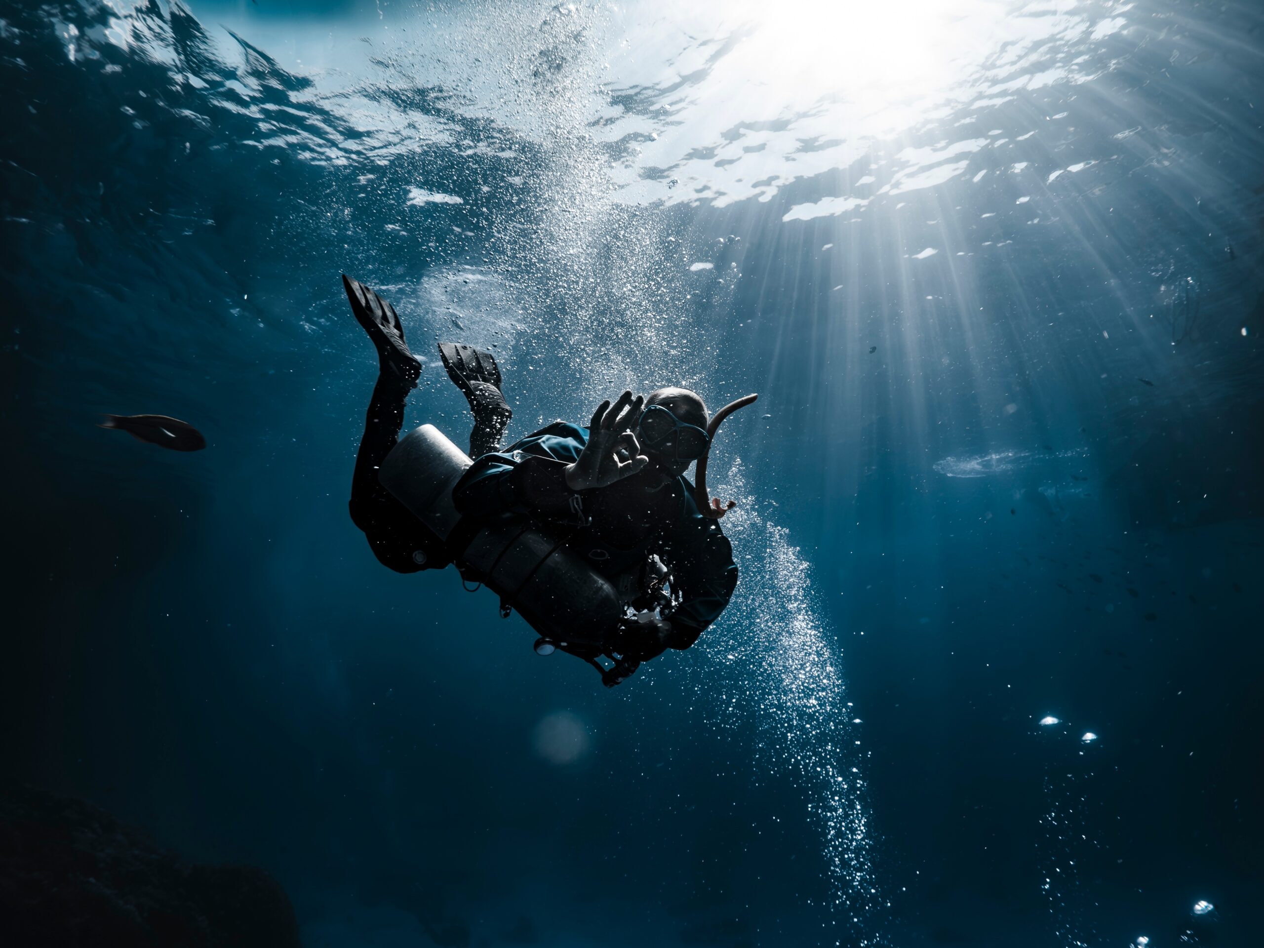 PADI Divemaster Kurs In Hurghada