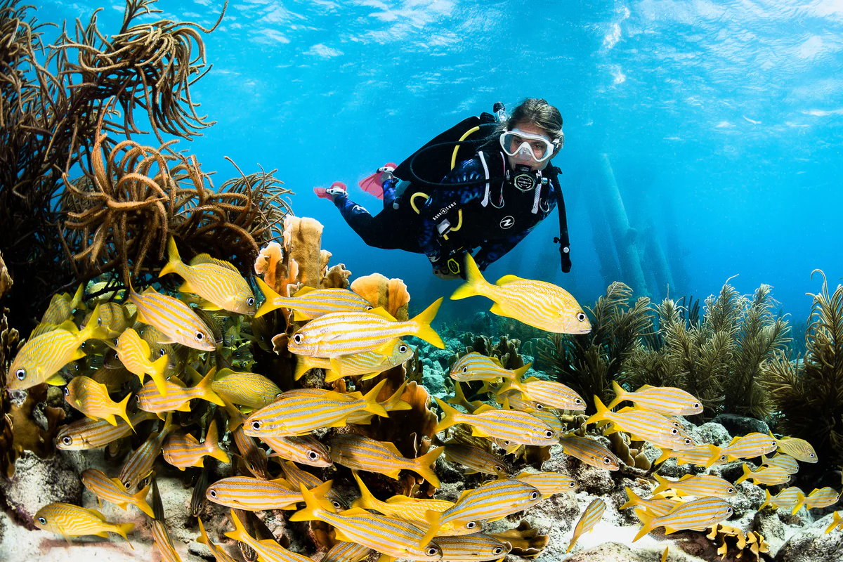 7 Tage Tauchen Hurghada im Roten Meer