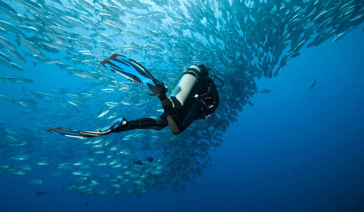 PADI Advanced Open Water Kurs